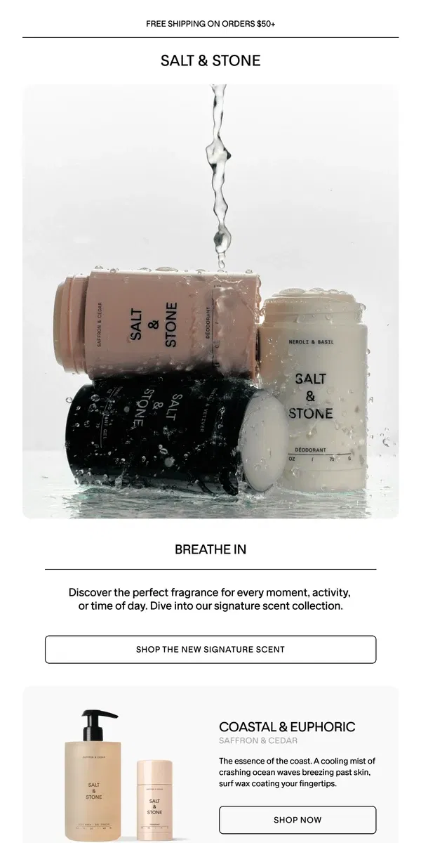 Email from SALT & STONE. Become Unforgettable Through Scent