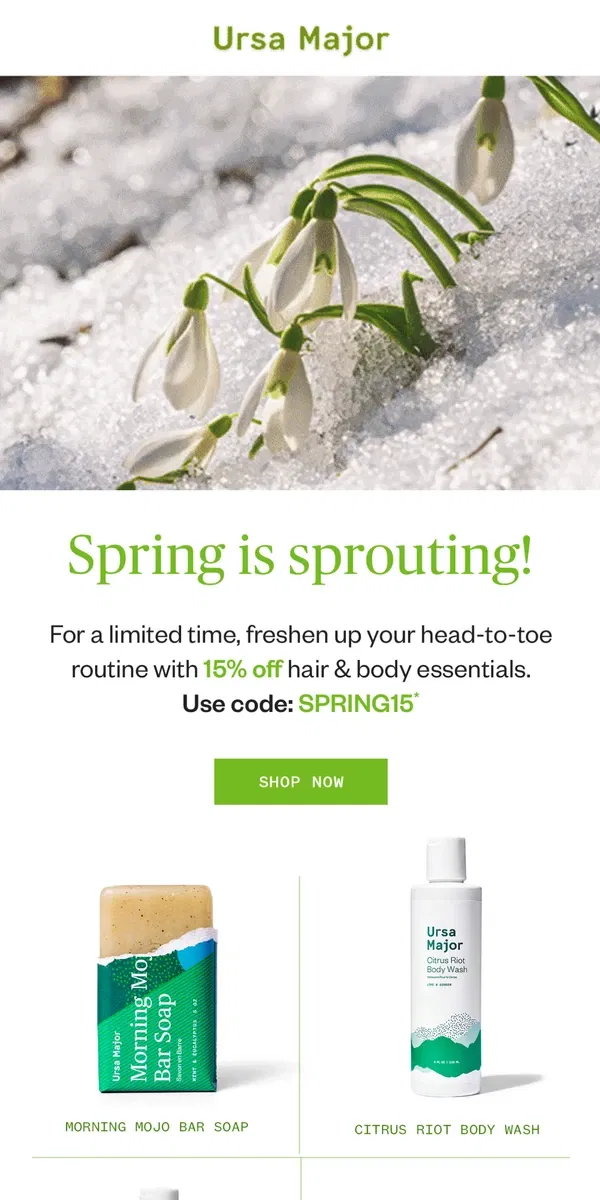 Email from Ursa Major. Spring clean your routine with 15% off