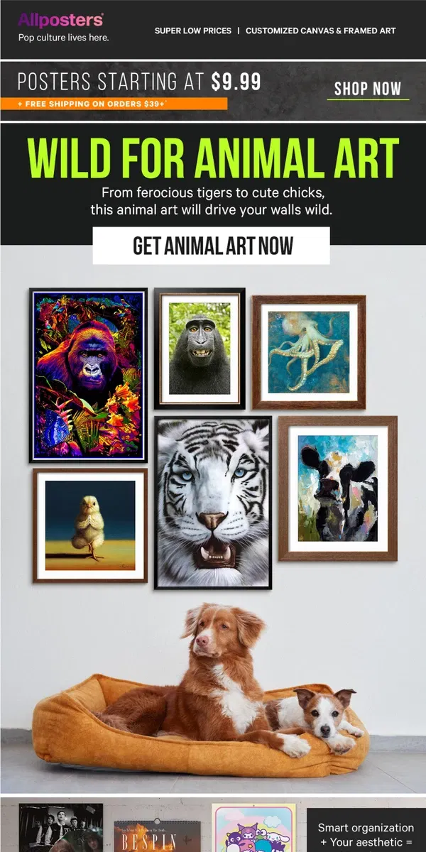 Email from AllPosters. Wild about animal art 🐅