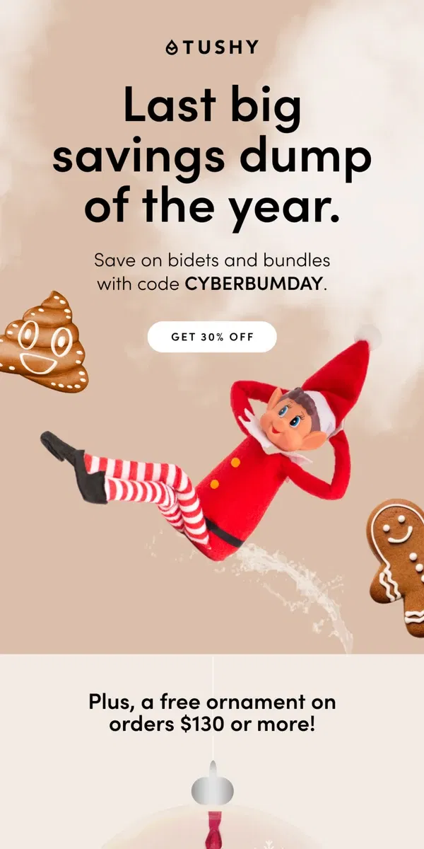 Email from TUSHY. TODAY ONLY: CYBER BUMDAY SALE