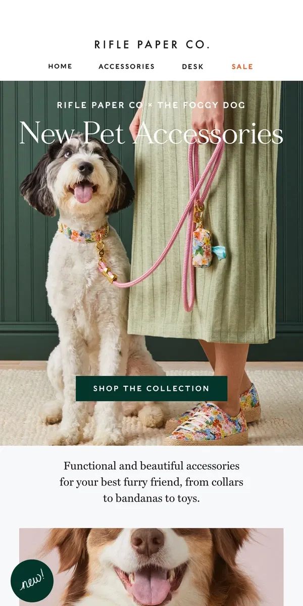 Email from Rifle Paper Co.. Just Arrived: New Pet Accessories 💐🐾