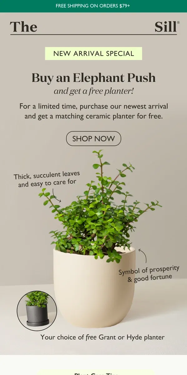 Email from The Sill. Claim Your Free Planter!