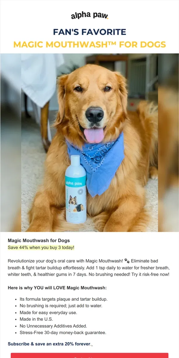 Email from Alpha Paw. ✨ Magic Mouthwash: Keep your dog's mouth clean & fresh