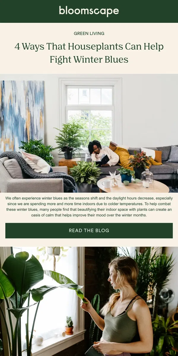 Email from Bloomscape. 4 ways houseplants can help fight winter blues❄️