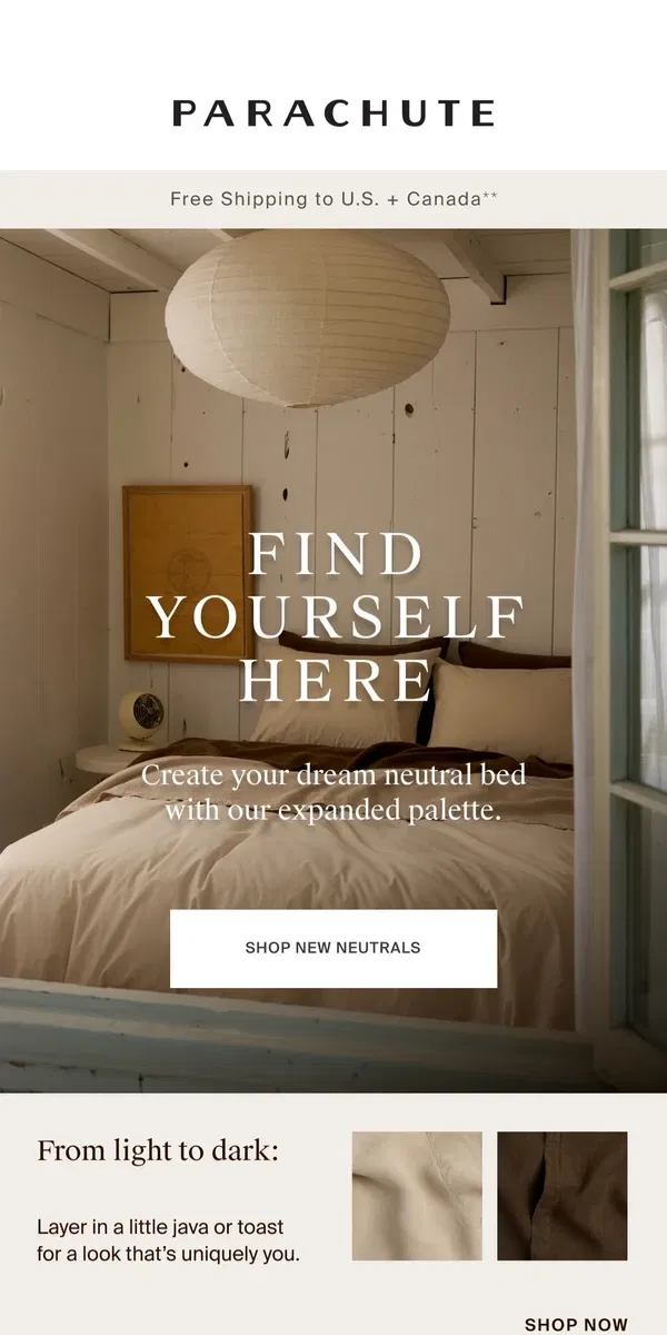 Email from Parachute Home. Light, Medium, or Dark?