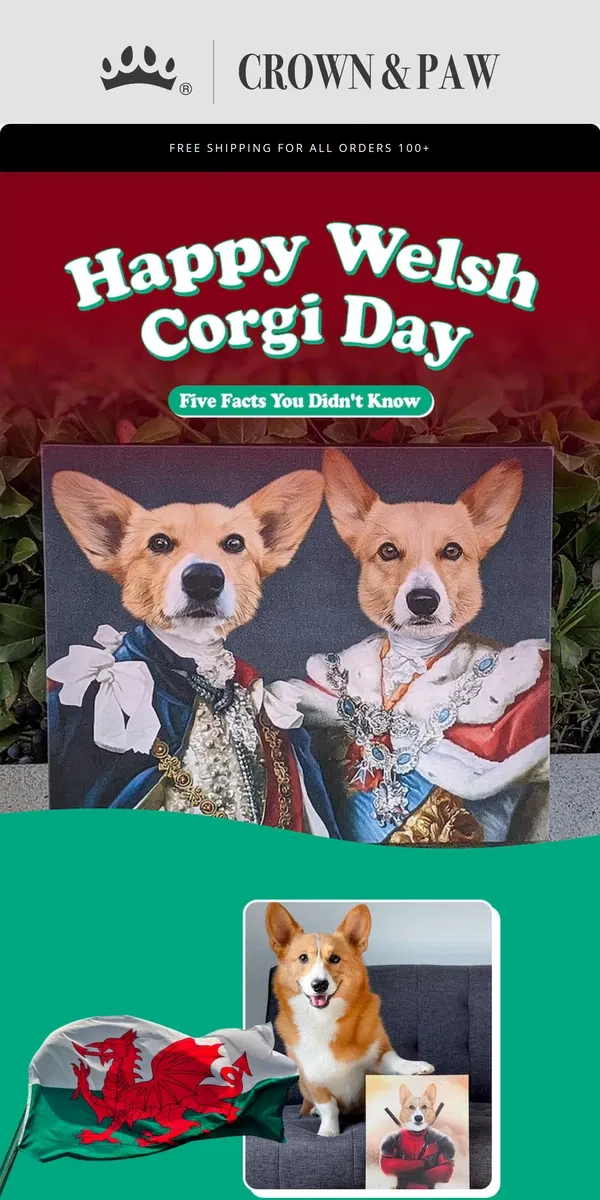 Email from Crown & Paw. National Welsh Corgi Day 🐶