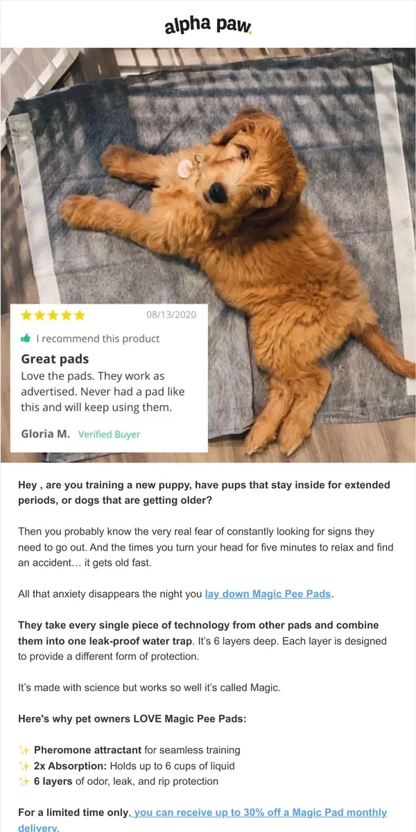 Email from Alpha Paw. Indoor or older dogs? Protect your floors with Magic Pads 💦