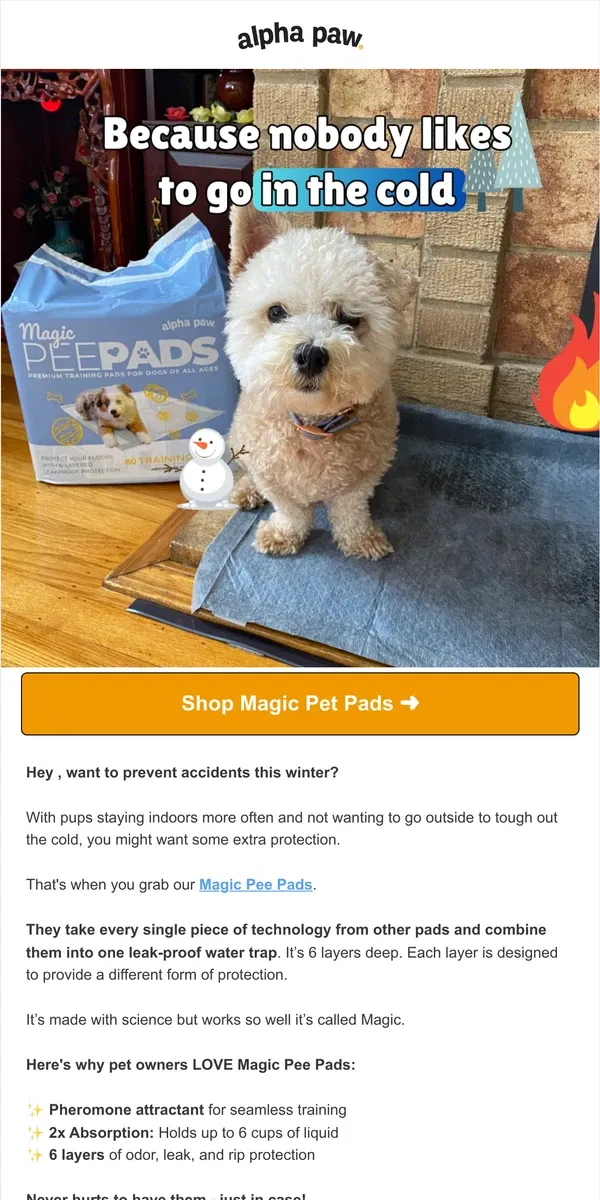 Email from Alpha Paw. ❄️For cold nights: Protect your floors with Magic Pads 💦