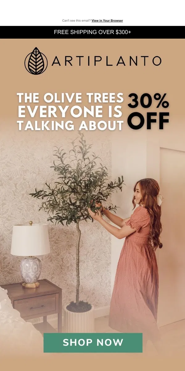 Email from Artiplanto. The Olive Tree Everyones Been Talking About Is On Sale  😍