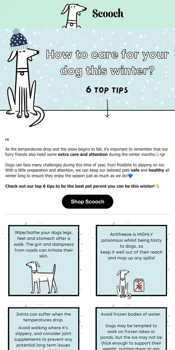 Email from Scooch. Essential winter care for your dog🐾 ❄️