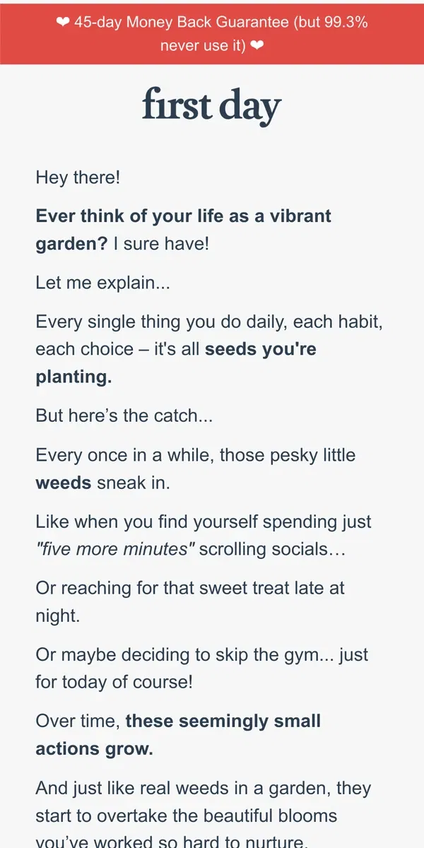 Email from First Day. How daily actions shape your “life garden”