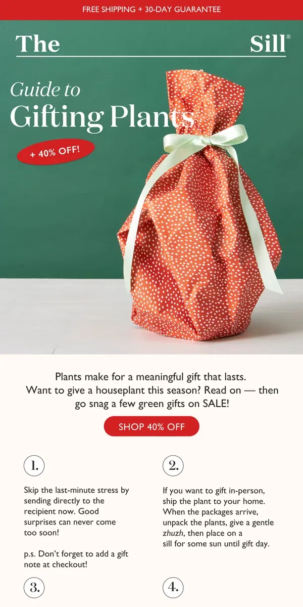 Email from The Sill. Tips for Gifting Plants 🎁