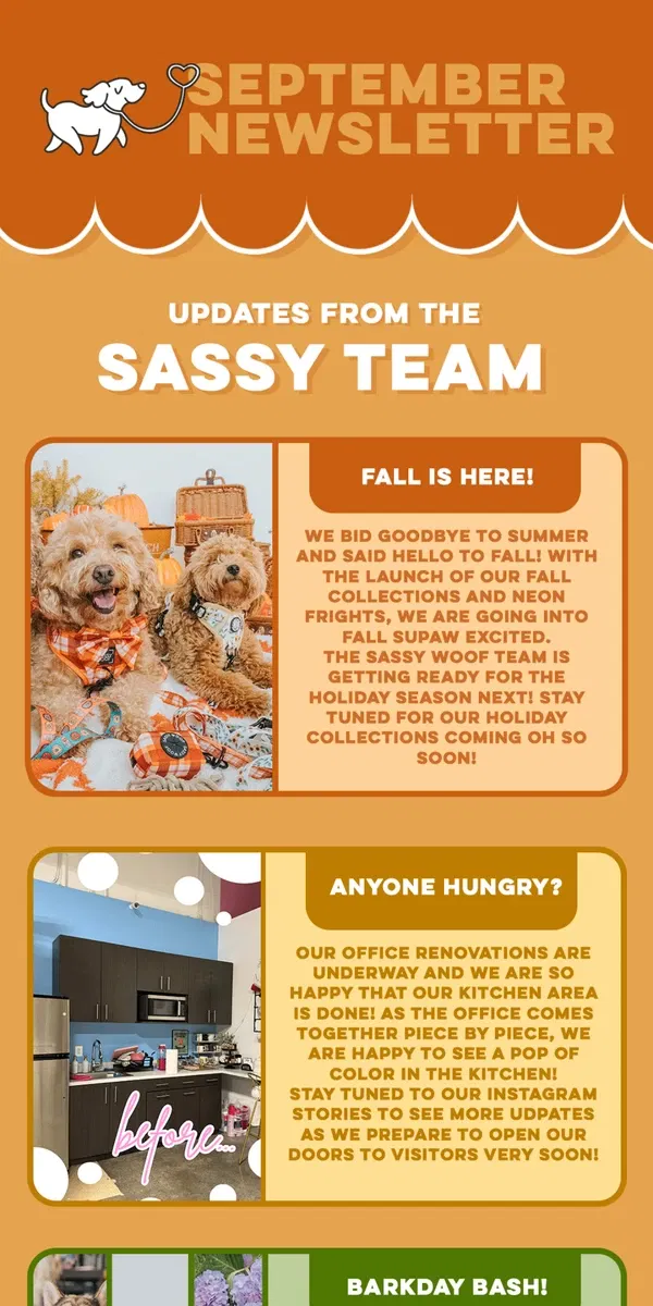 Email from Sassy Woof. September Newsletter 🍂