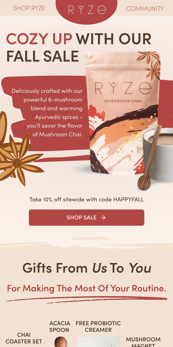 Email from RYZE Mushroom Coffee. Fall is here (and so is Chai)