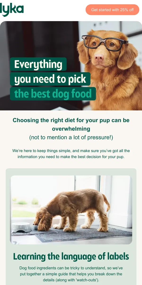 Email from Lyka. We know choosing food for your pup can be confusing 🤯