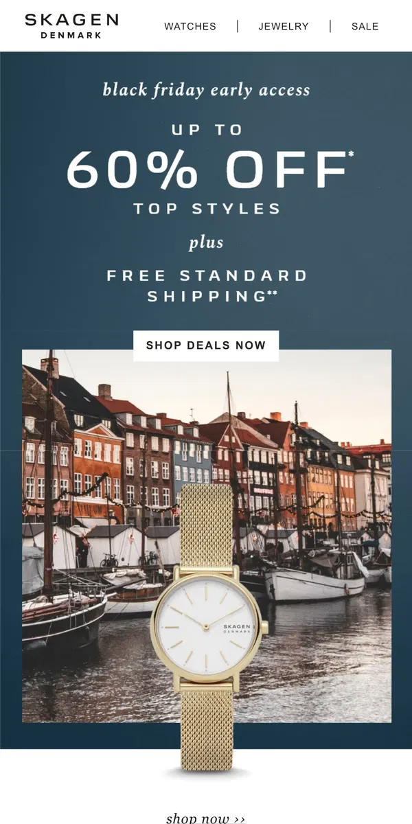 Email from Skagen. exclusive early access