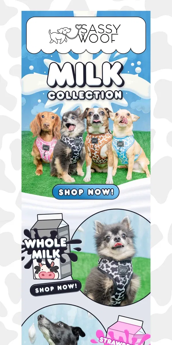 Email from Sassy Woof. Milk Collection is back! 🩷🤎🩵🖤