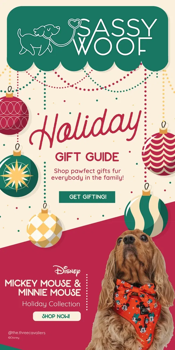 Email from Sassy Woof. Holiday Gift Guide! 🎁