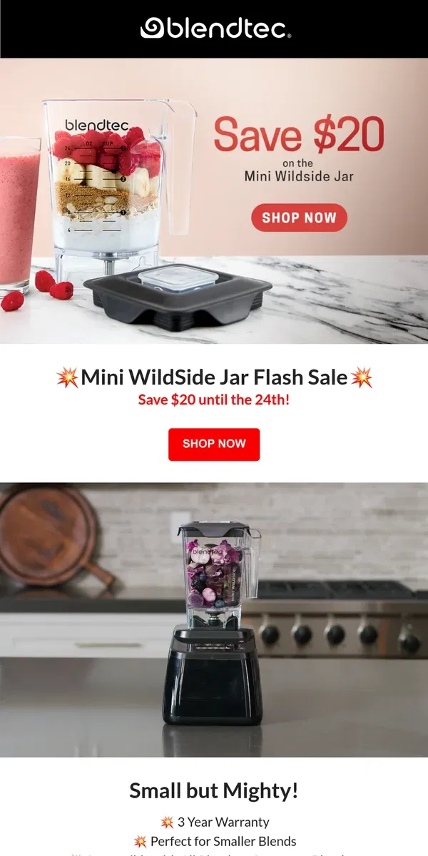 Email from Blendtec. FLASH SALE ALERT!!