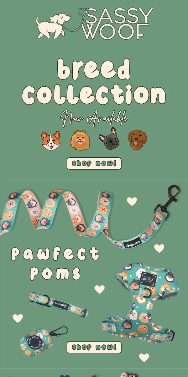 Email from Sassy Woof. NEW Breed Collections 🐾