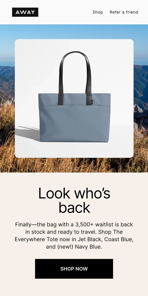 Email from Away. It’s back: The Everywhere Tote