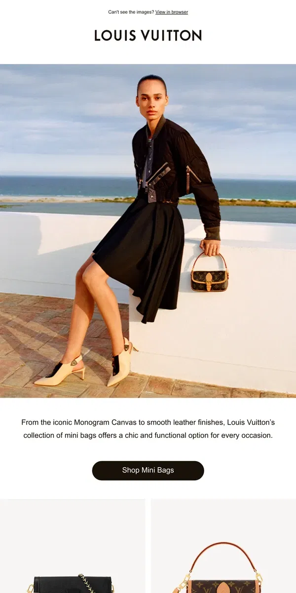 Email from Louis Vuitton. A Mini Bag Moment