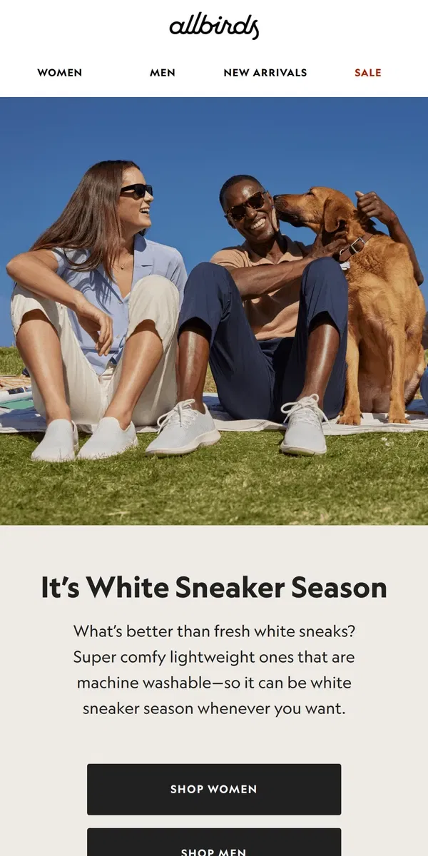 Email from Allbirds. Three Words: Fresh. White. Sneaks.