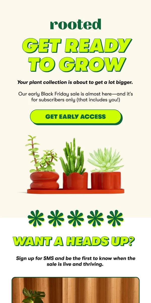 Email from Rooted. A sale is sprouting 🌱