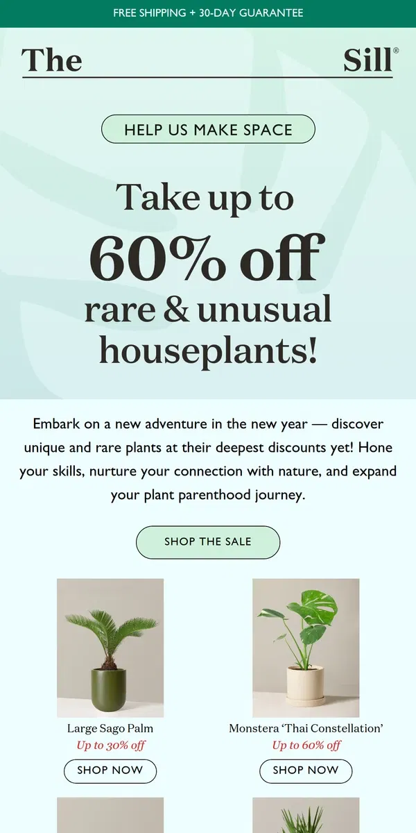 Email from The Sill. Up to 60% Off Rare & Limited-Time Plants 🌿