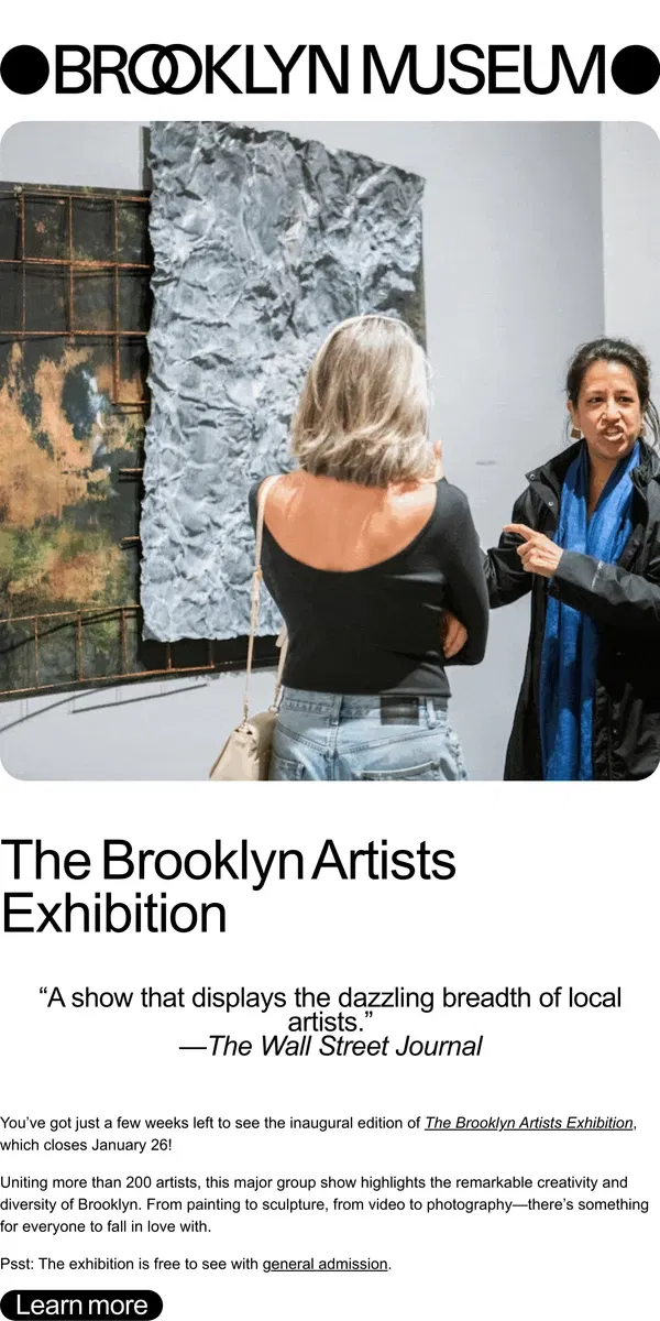 Email from Brooklyn Museum. Last chance to see “The Brooklyn Artists Exhibition”