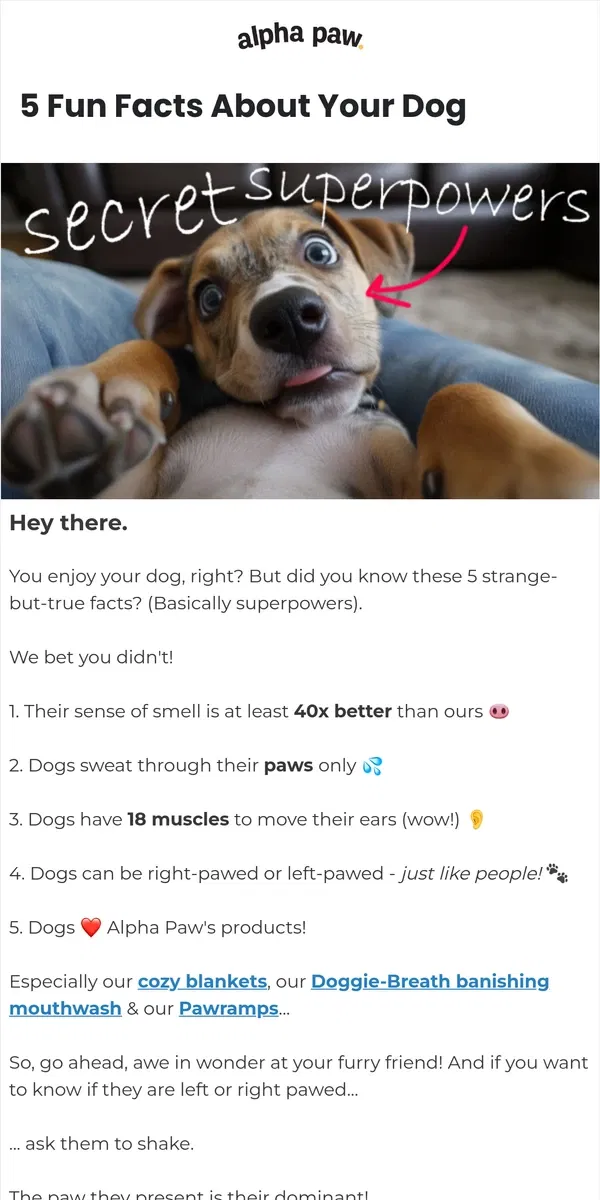 Email from Alpha Paw. 🐶 hey, 5 fun facts about your dog