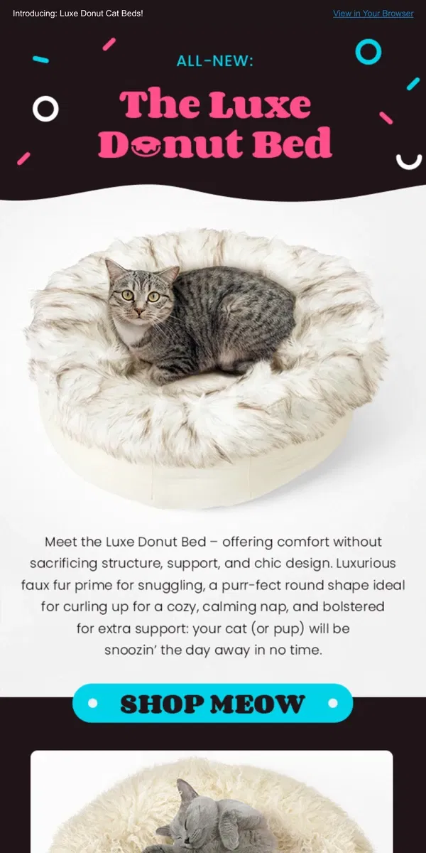 Email from Meowingtons. Cats Will GO NUTS For These DONUTS 🍩