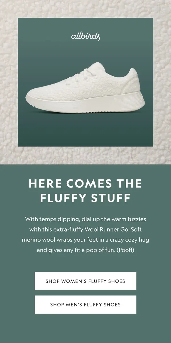 Email from Allbirds. New For Winter: Super Fluffy Shoes ❄️