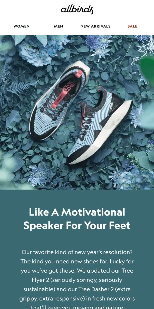 Email from Allbirds. New Year, New Shoes 