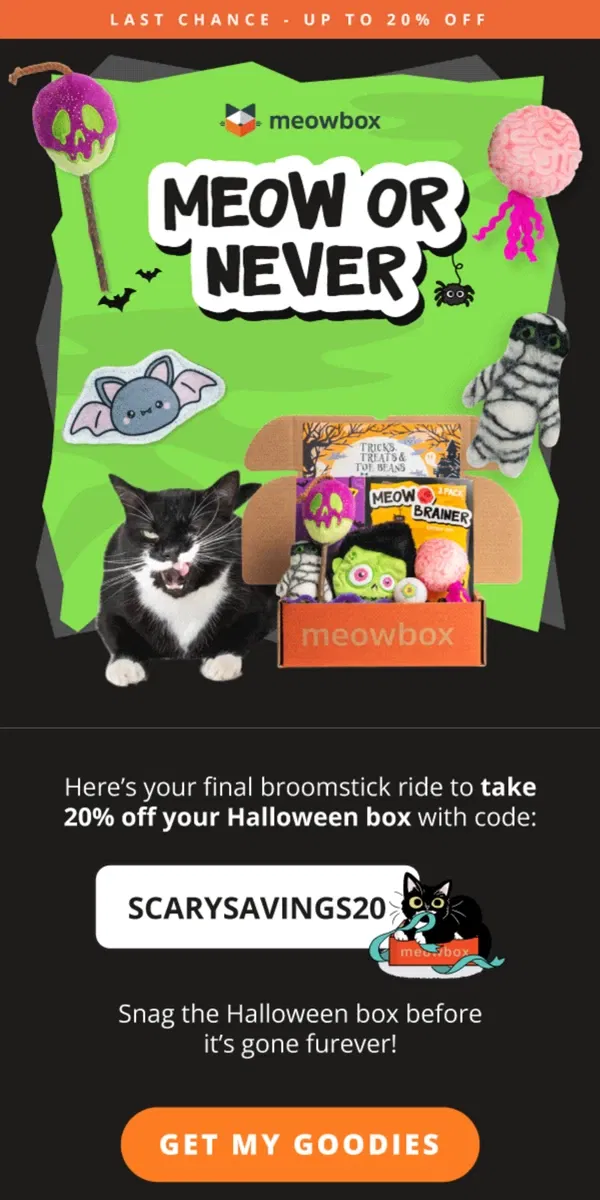 Email from meowbox. Just one more day to get 20% off the Halloween box 🙀