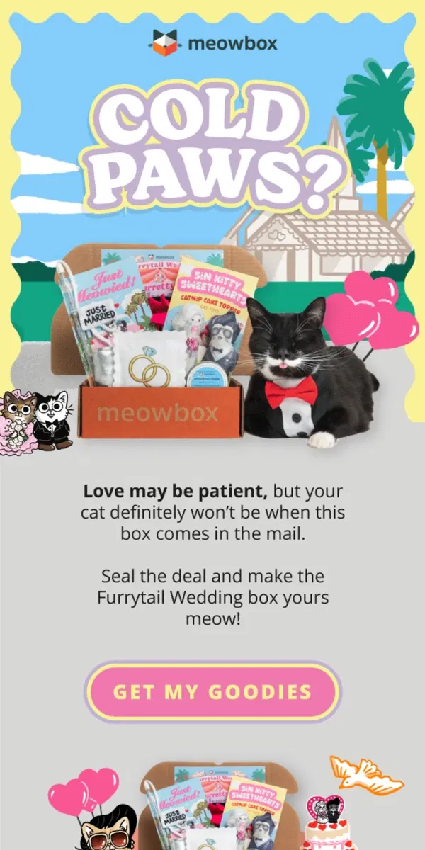 Email from meowbox. Tie the knot on the purrfect love-themed box 💍🍰🥂