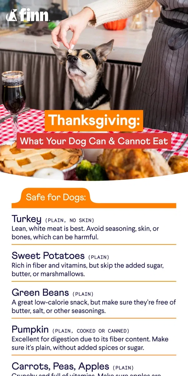 Email from Finn. Turkey or Trouble? Thanksgiving Foods Your Pup Should Avoid ❌