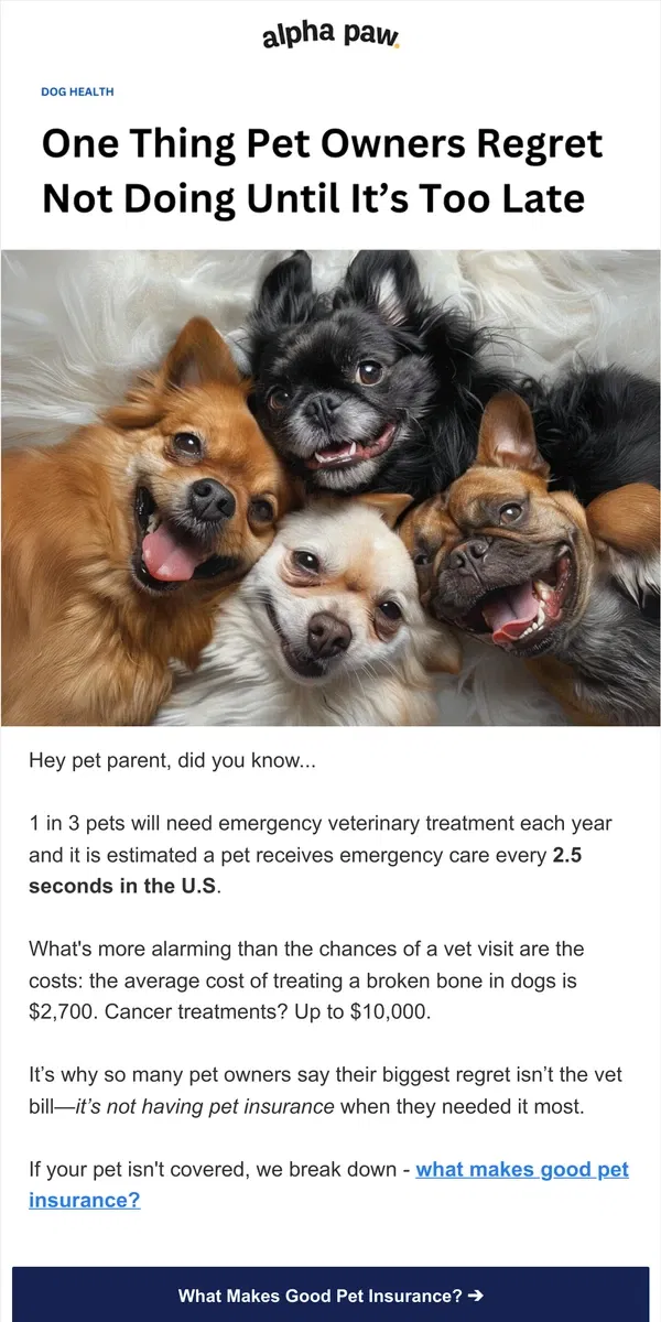 Email from Alpha Paw. 🐶 1 Thing Pet Owners Regret Not Doing