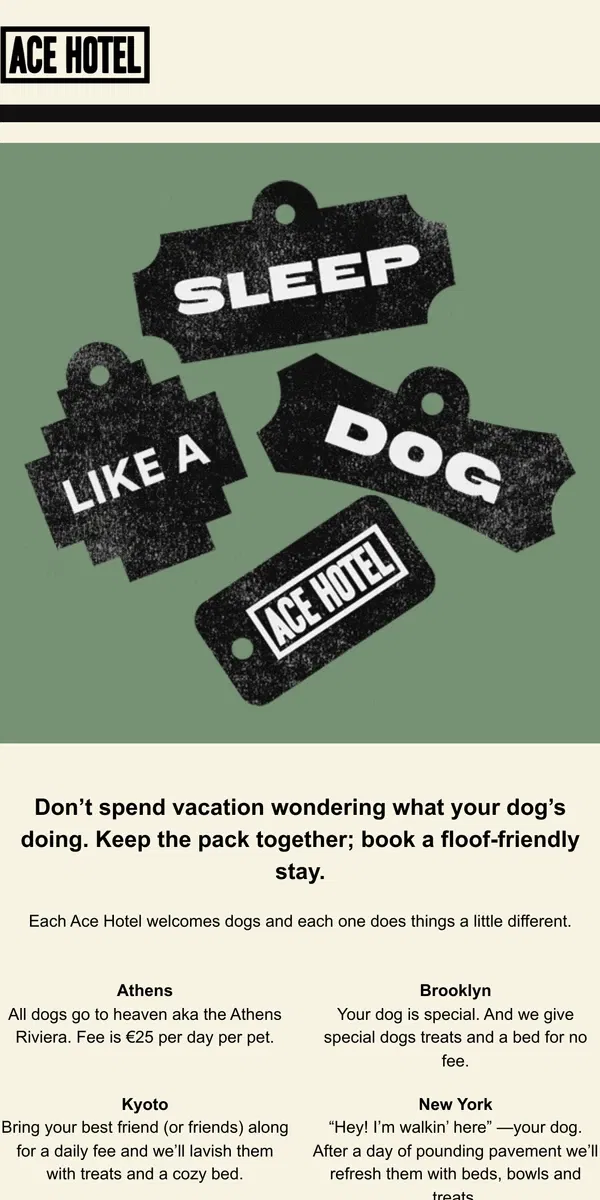 Email from Ace Hotel. We let the dogs in