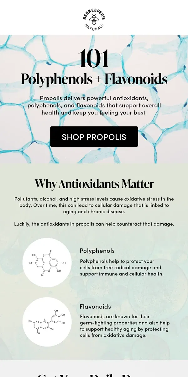 Email from Beekeeper's Naturals. Why the Antioxidants in Propolis Are So Special ✨