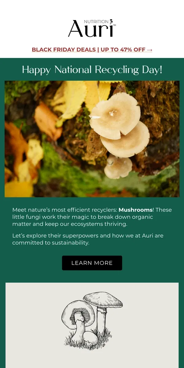 Email from Auri Nutrition. 🌍 Celebrate Nature's Best Recyclers