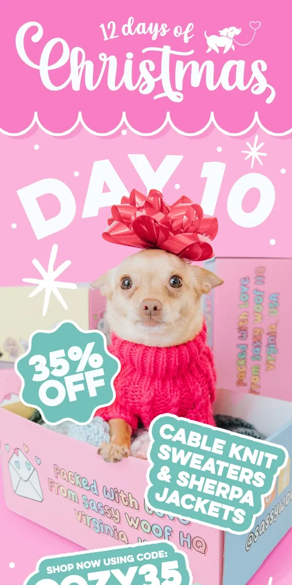 Email from Sassy Woof. 12 Days of Christmas: Day 10! 🎁