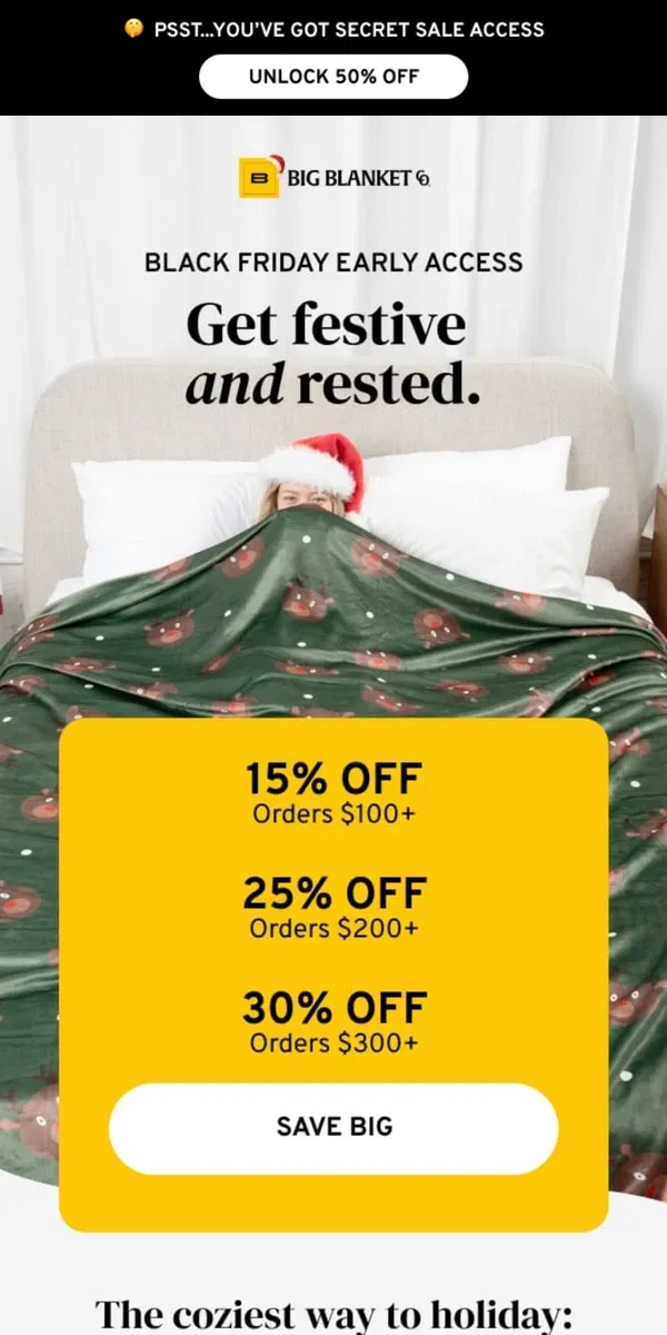 Email from Big Blanket Co. 'Tis the ZZZeason