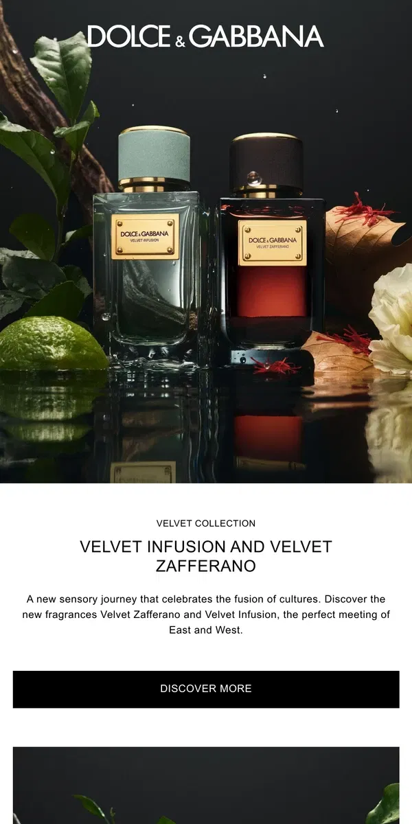 Email from Dolce & Gabbana. NEW: Velvet Infusion and Velvet Zafferano