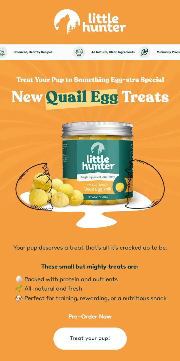 Email from Little Hunter. ✨Egg-citing News✨Quail Egg Treats Are Here 🐾