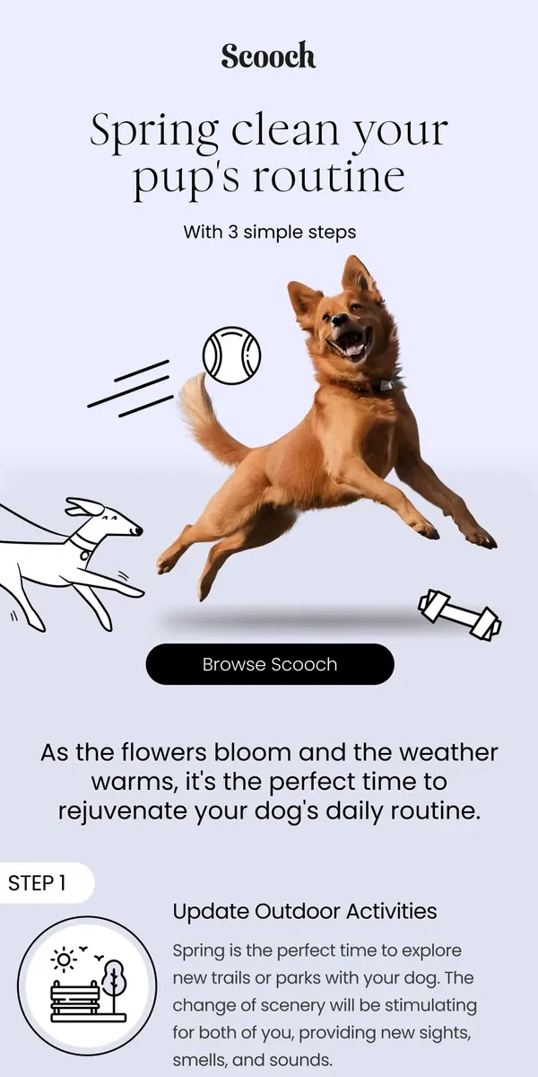 Email from Scooch. Refresh your dog's routine