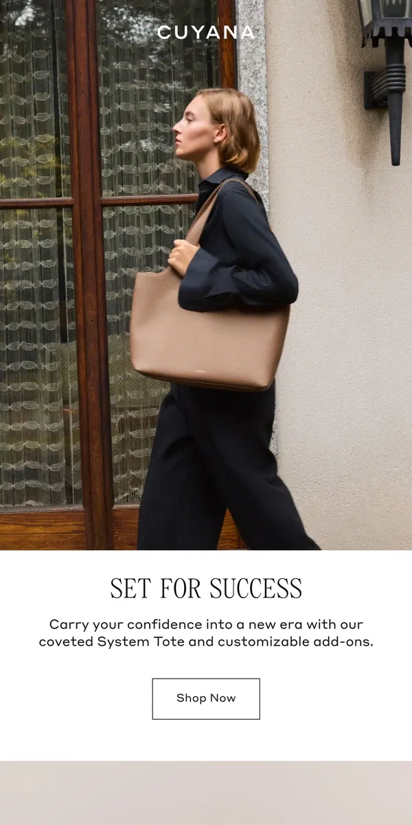 Email from Cuyana. A System for Success: Work Edition