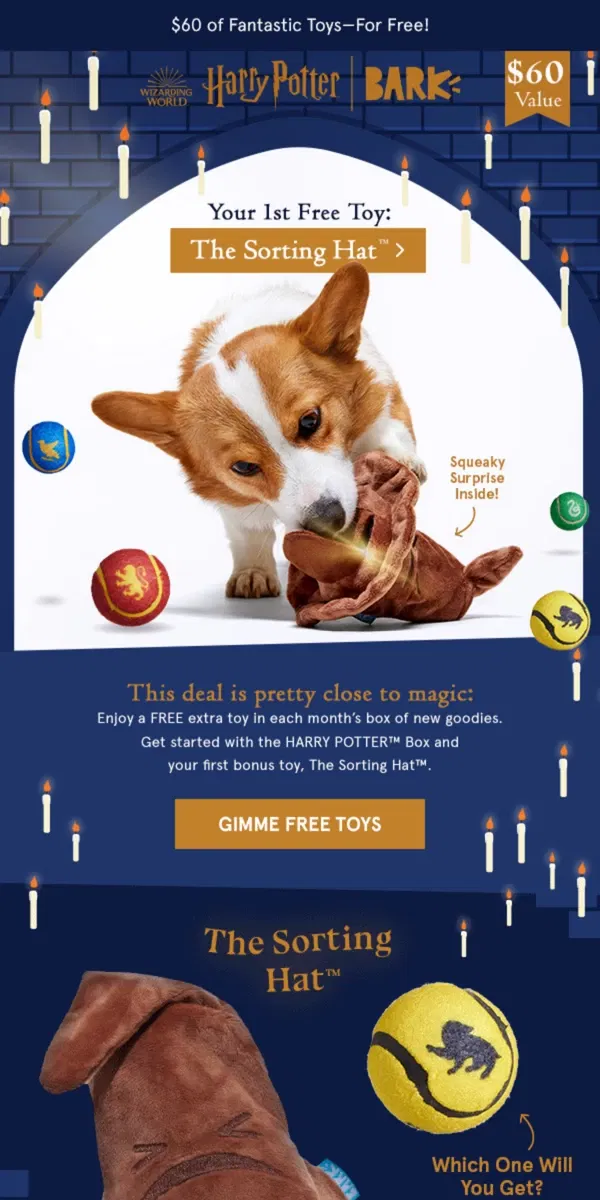 Email from BarkBox. Your 1st Free Toy: The Sorting Hat™