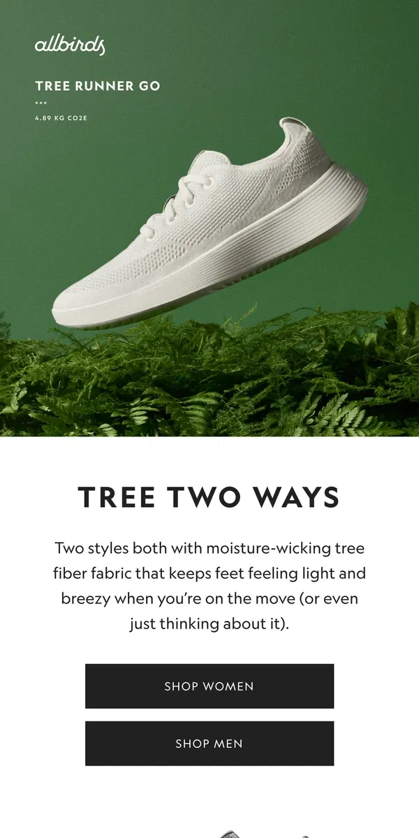 Email from Allbirds. Fresher Than Fresh ✨