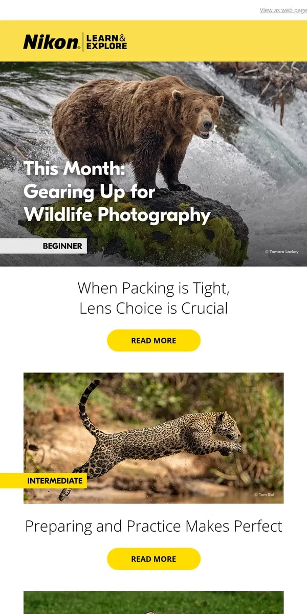 Email from Nikon. LEARN how to take better wildlife photos